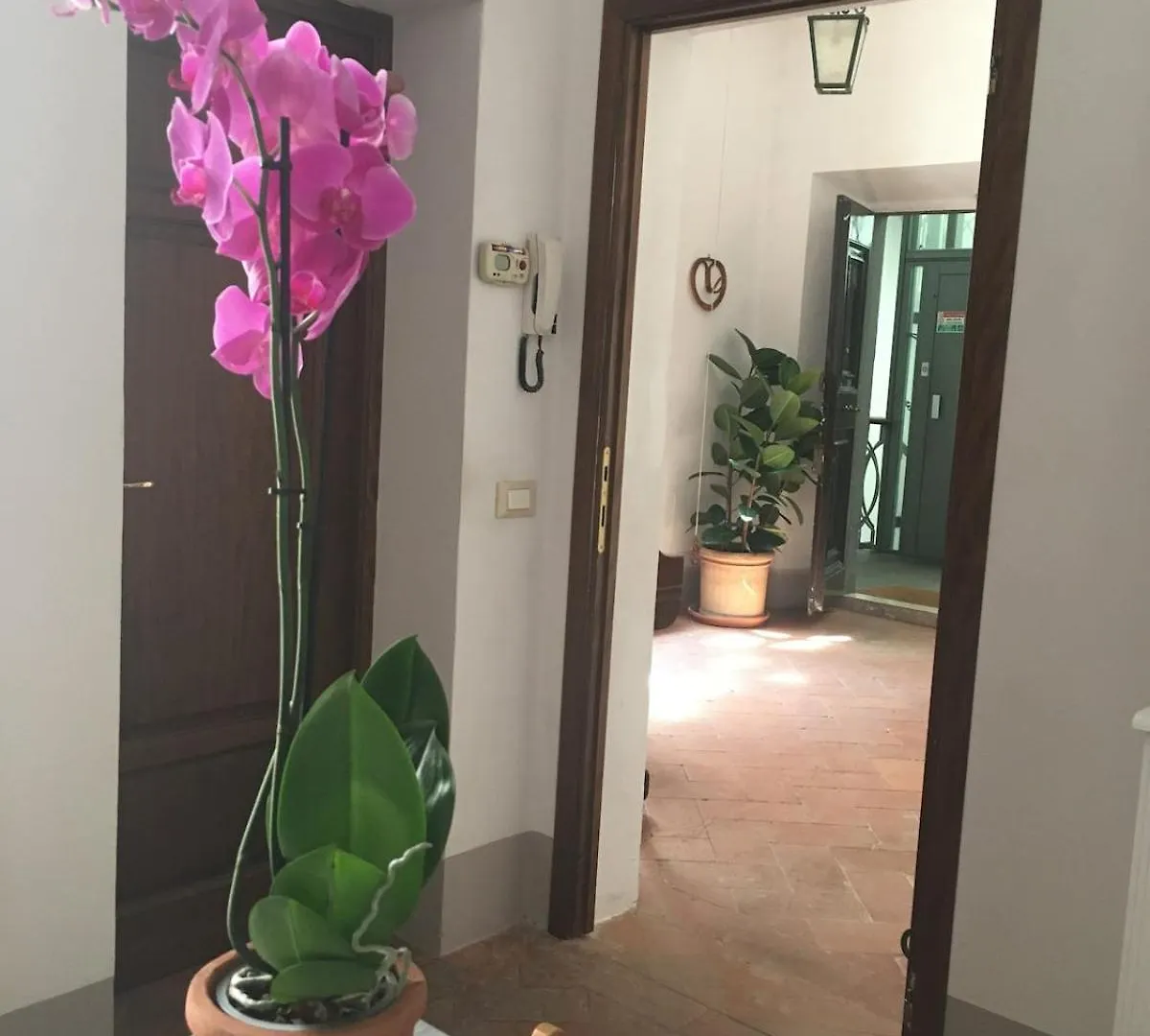 Casa E Risorgimento Apartment Pisa Italy